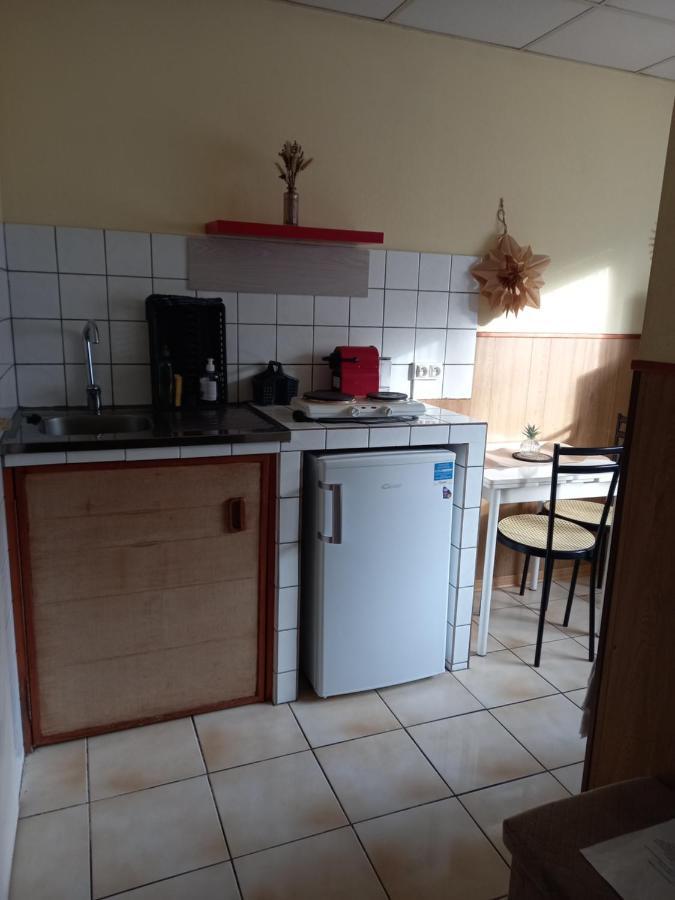 Les Appartements Du Lion De Бельфор Екстер'єр фото