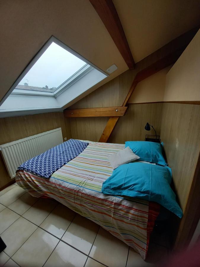 Les Appartements Du Lion De Бельфор Екстер'єр фото