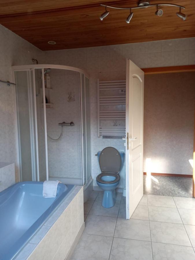 Les Appartements Du Lion De Бельфор Екстер'єр фото